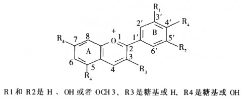 花青素基本结构 花青素基本结构