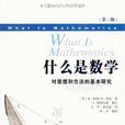 什幺是数学 什幺是数学