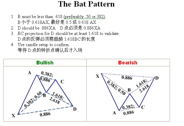 蝴蝶形态 蝴蝶形态