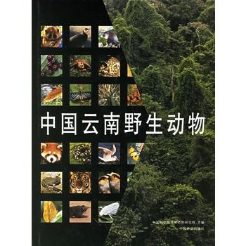 中国云南野生动物 中国云南野生动物