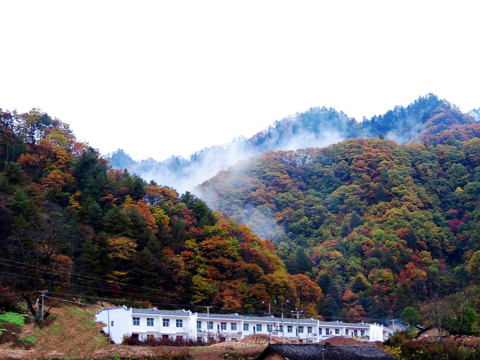 宁陕县