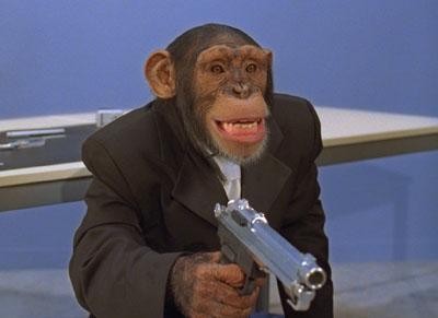monkey monkey