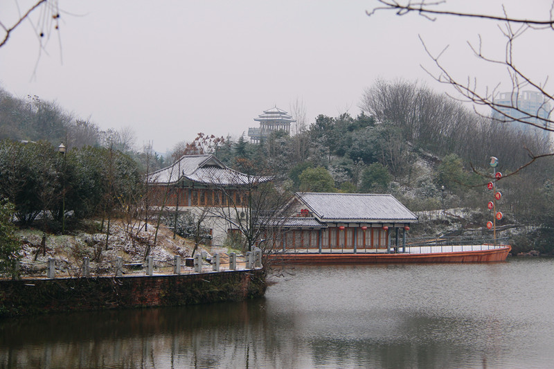 平湖公园雪景 平湖公园雪景