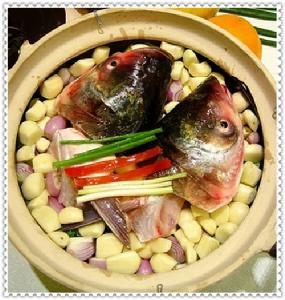 大头鱼 大头鱼