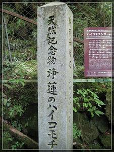 净莲瀑布 净莲瀑布