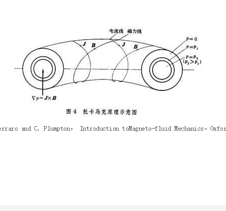 环形箍缩装置 环形箍缩装置
