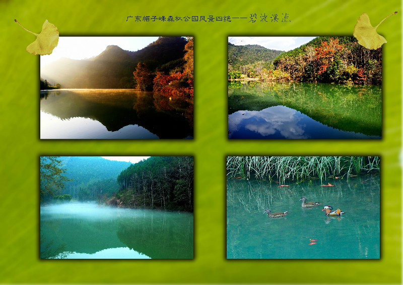 帽子峰林场 帽子峰林场