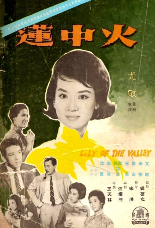 海报 海报