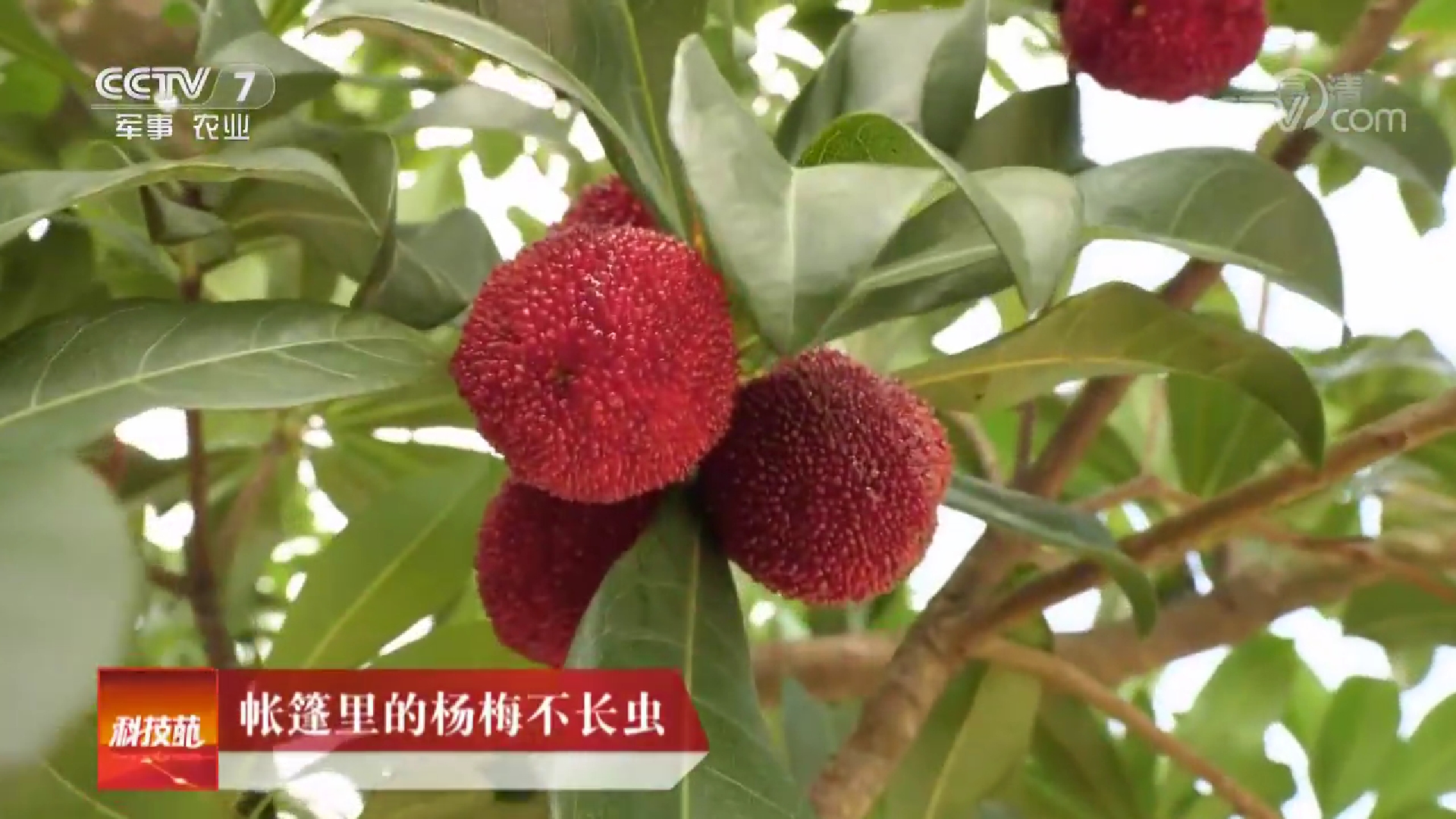 科技苑 科技苑