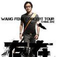 2012汪峰北京演唱会 2012汪峰北京演唱会