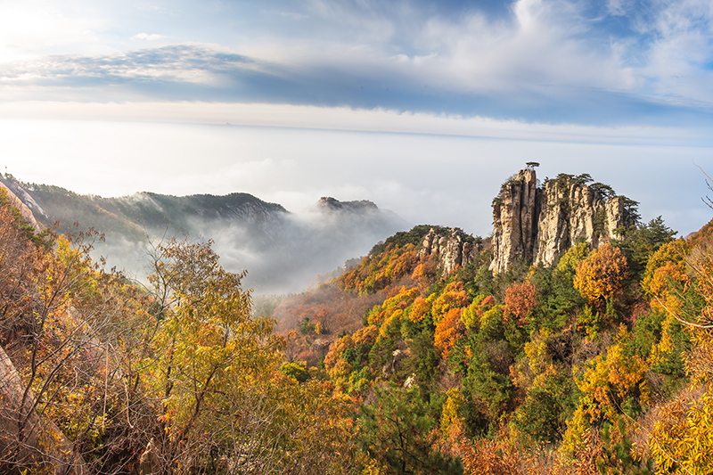 鹰窝峰 鹰窝峰