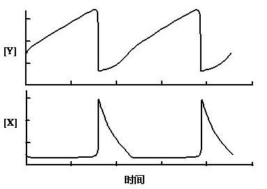 普利高京耗散结构 普利高京耗散结构