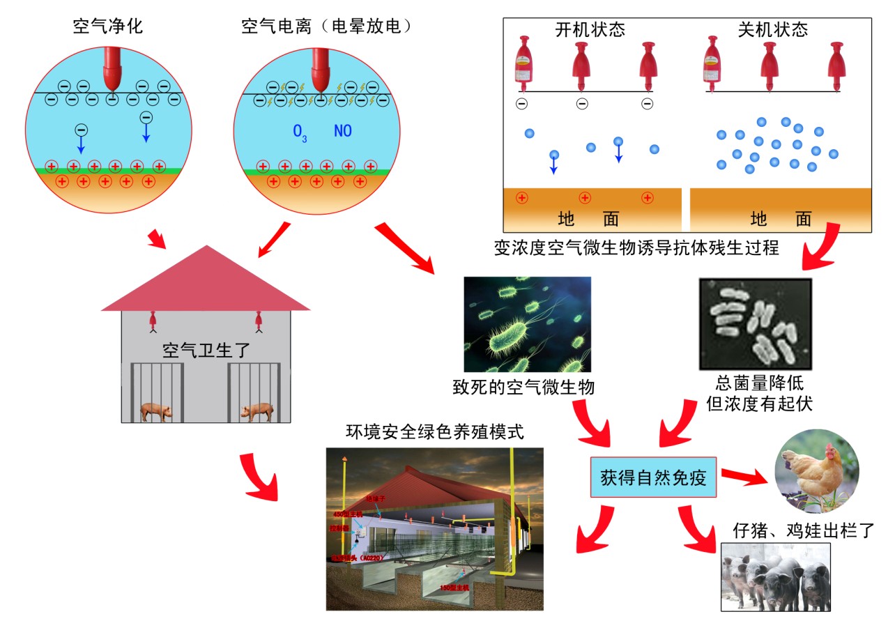 口蹄疫 口蹄疫