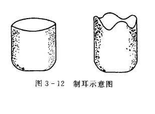制耳示意图 制耳示意图