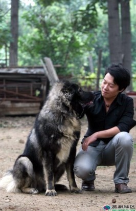 张津瑞和他的爱犬 张津瑞和他的爱犬