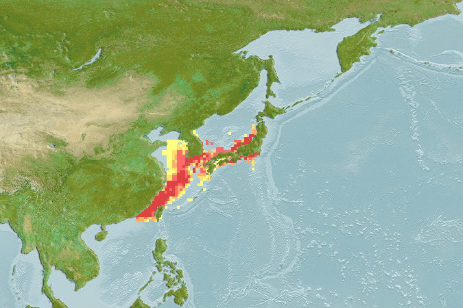 分布範围图 分布範围图