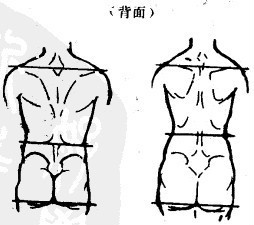 臀(人体部位) 臀(人体部位)