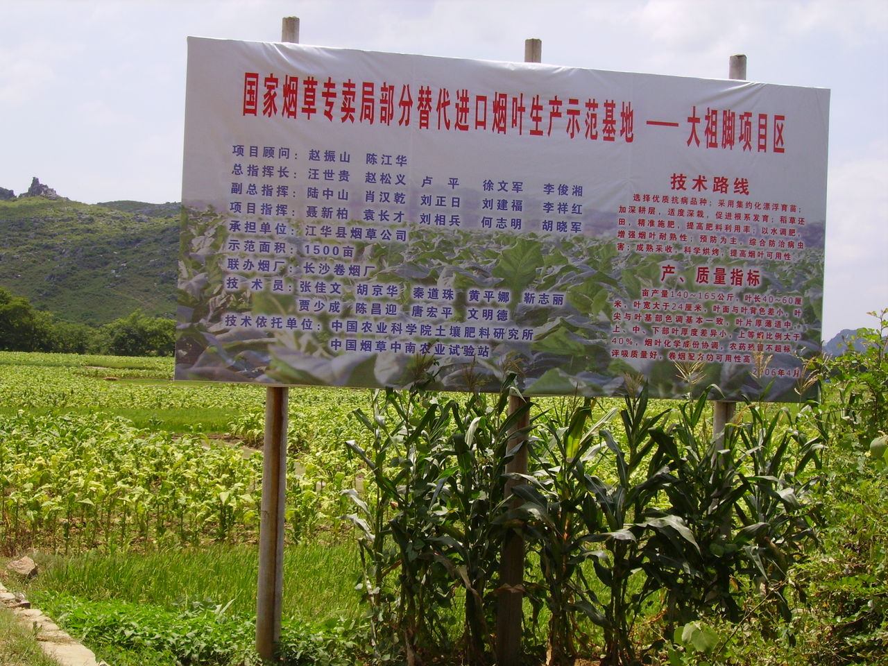 大石桥乡国家级烤菸基地 大石桥乡国家级烤菸基地