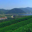 太华山(江苏省宜兴市太华山省级森林公园) 太华山(江苏省宜兴市太华山省级森林公园)