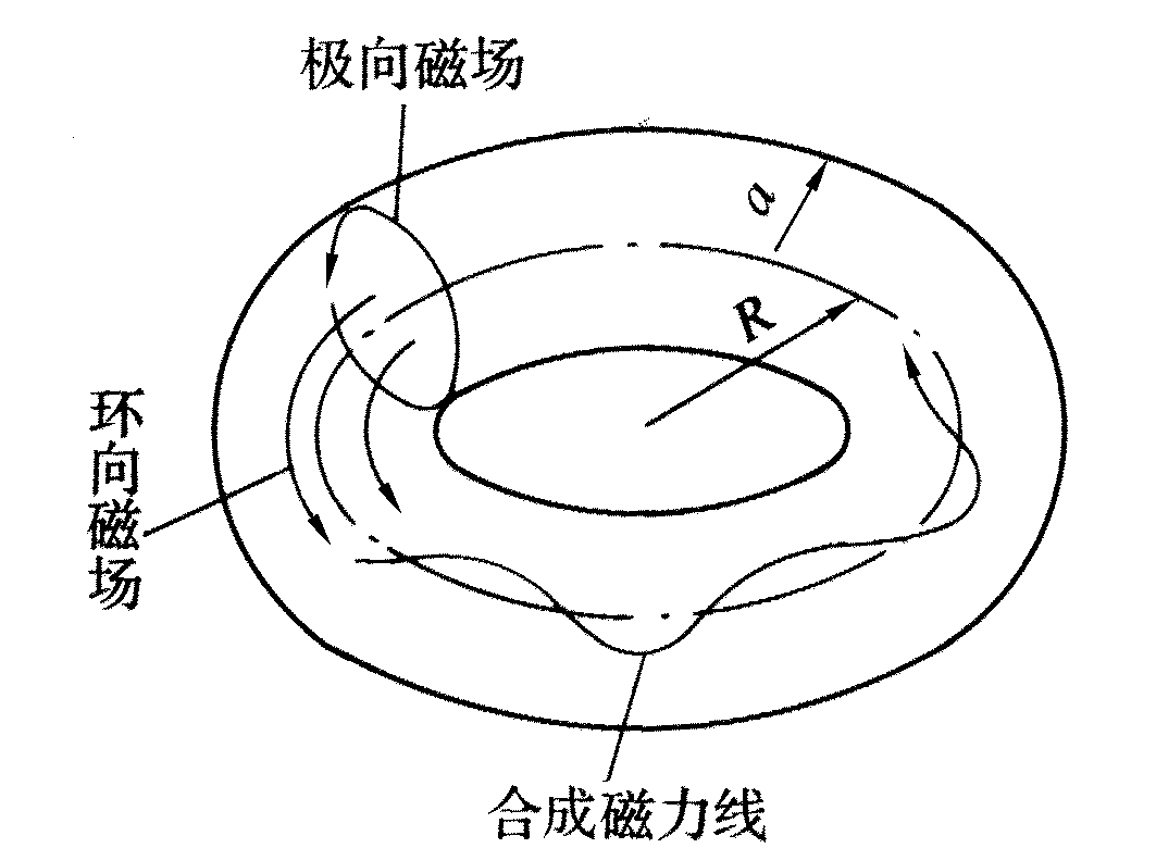 环形场与极向场合成的环形螺线 环形场与极向场合成的环形螺线
