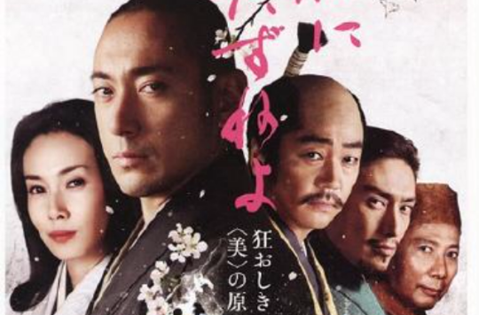 寻访千利休 寻访千利休