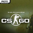 反恐精英:全球攻势(CSGO) 反恐精英:全球攻势(CSGO)