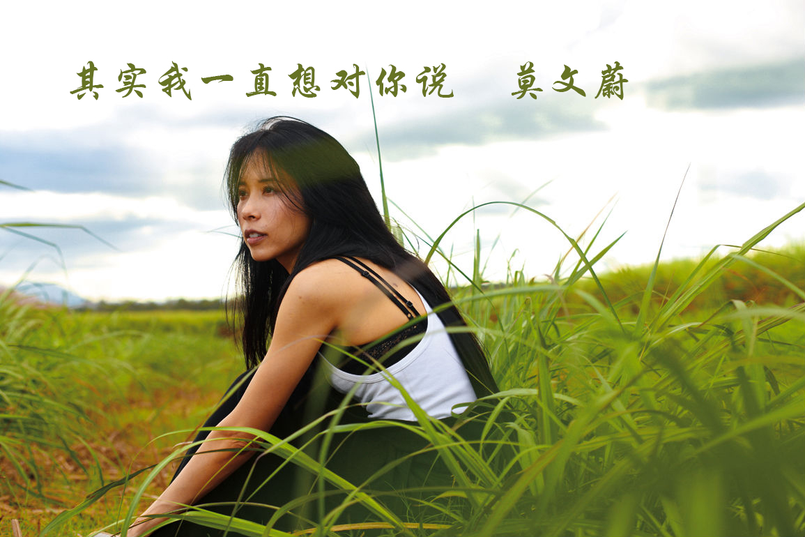 其实我一直想对你说 其实我一直想对你说