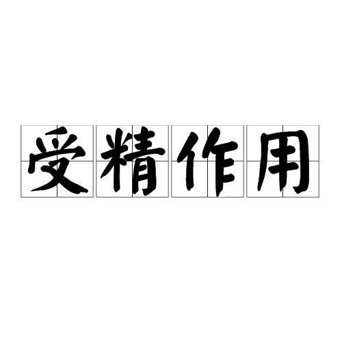 受精作用 受精作用