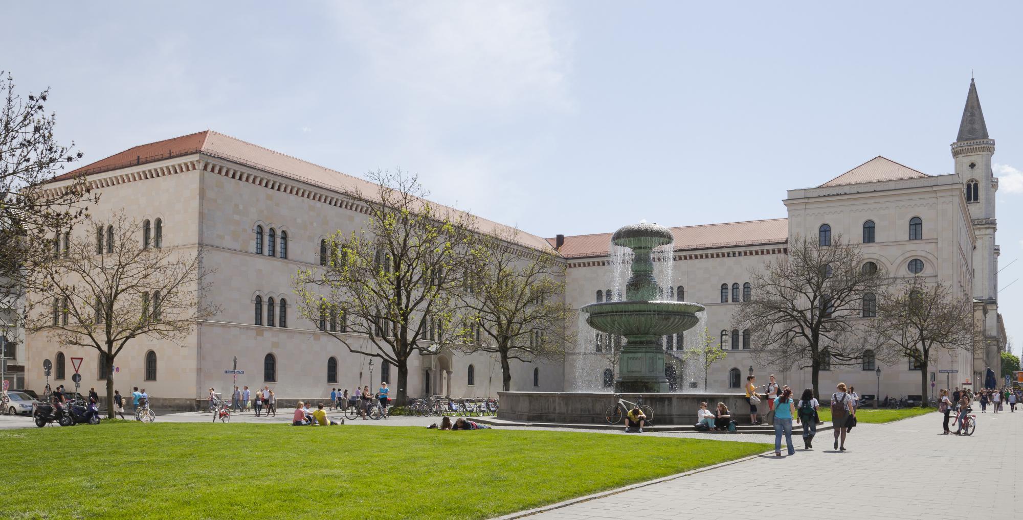 精英大学 精英大学