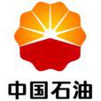 中国石油天然气勘探开发公司 中国石油天然气勘探开发公司