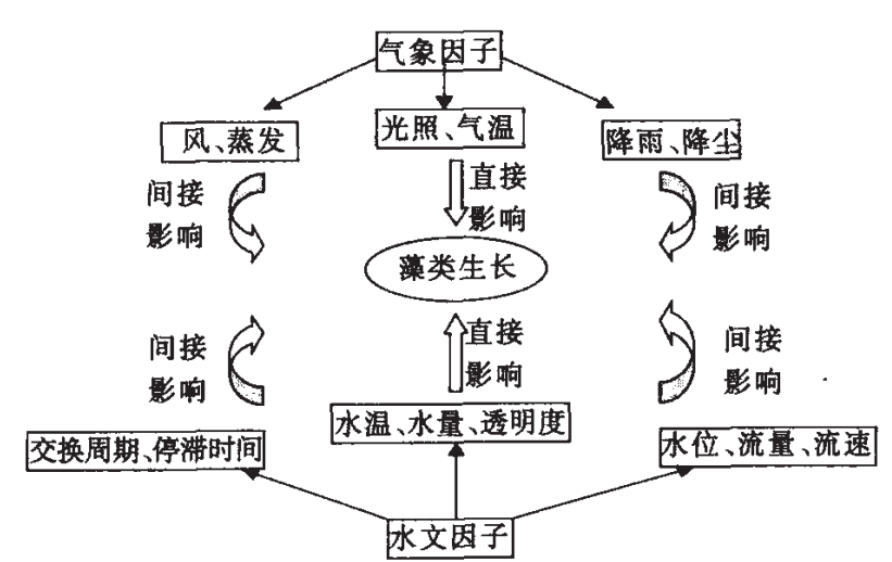 图3 水文气象因子和藻类生长的关係 图3 水文气象因子和藻类生长的关係