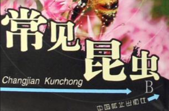 常见昆虫 常见昆虫
