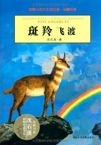 生命桥 生命桥