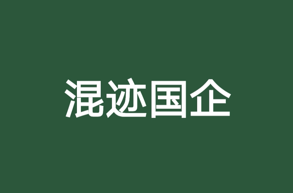 混迹国企