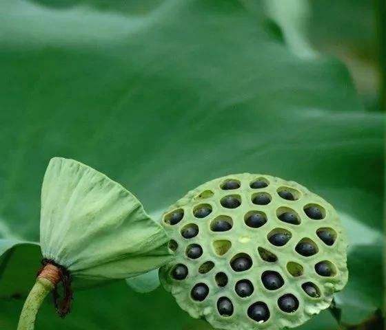 衡阳县
