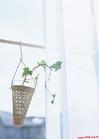 生活空间 生活空间