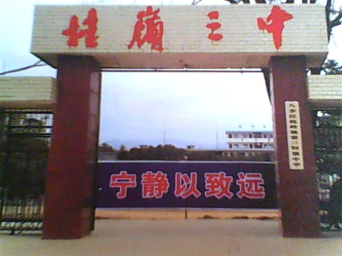 广西桂岭镇 广西桂岭镇