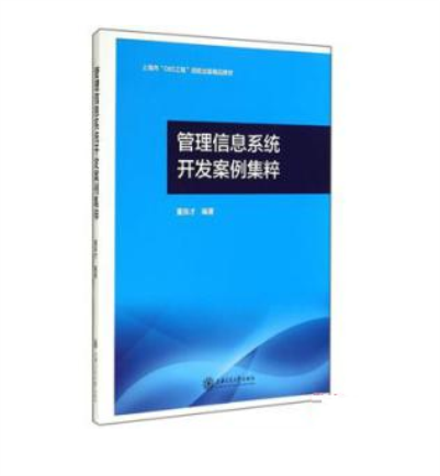 管理信息系统开发案例集粹 管理信息系统开发案例集粹