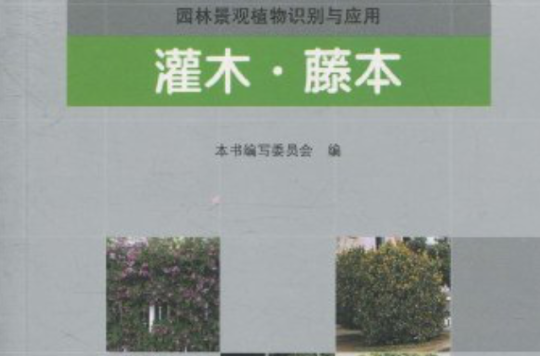 园林景观植物识别与套用:灌木·藤本 园林景观植物识别与套用:灌木·藤本