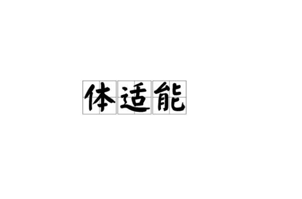 体适能 体适能