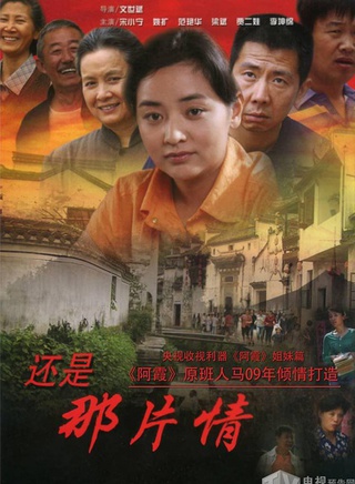 宋小宁