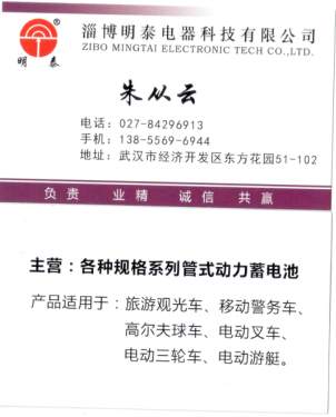 铅酸动力蓄电池 铅酸动力蓄电池