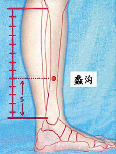 蠡沟穴 蠡沟穴