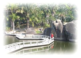 厦门园林植物园 厦门园林植物园