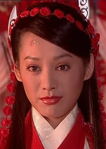 杨门女将之女儿当自强(杨门女将昊天塔)