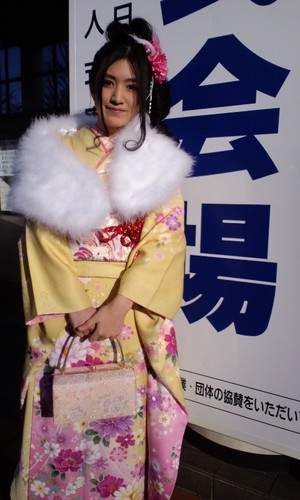 成人式の振袖姿 成人式の振袖姿