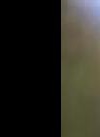 曾伟权