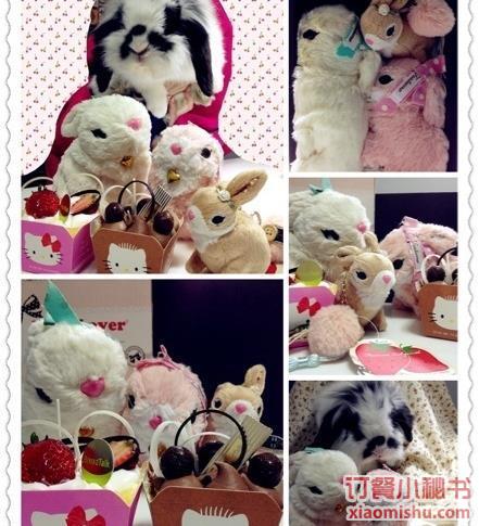 两小无猜