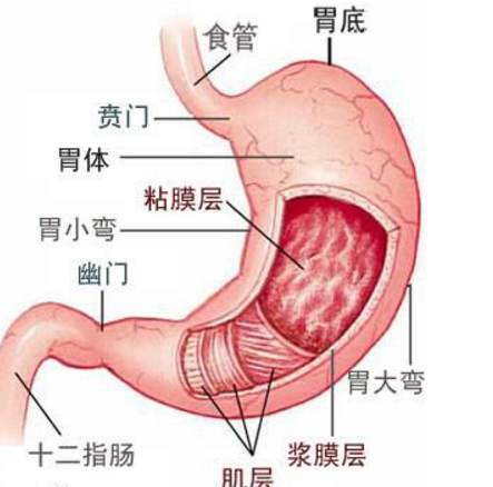 胃肠胀气 胃肠胀气