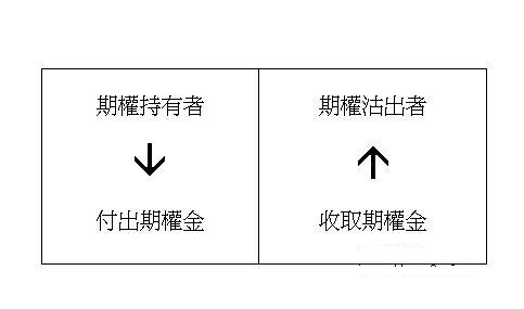 利率期权 利率期权